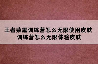 王者荣耀训练营怎么无限使用皮肤 训练营怎么无限体验皮肤